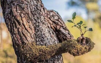 Als Ostermenschen leben …