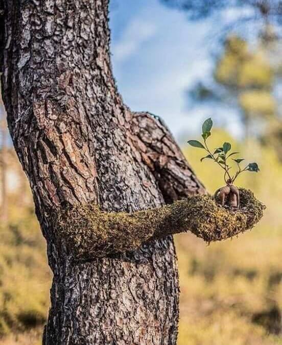 Als Ostermenschen leben …